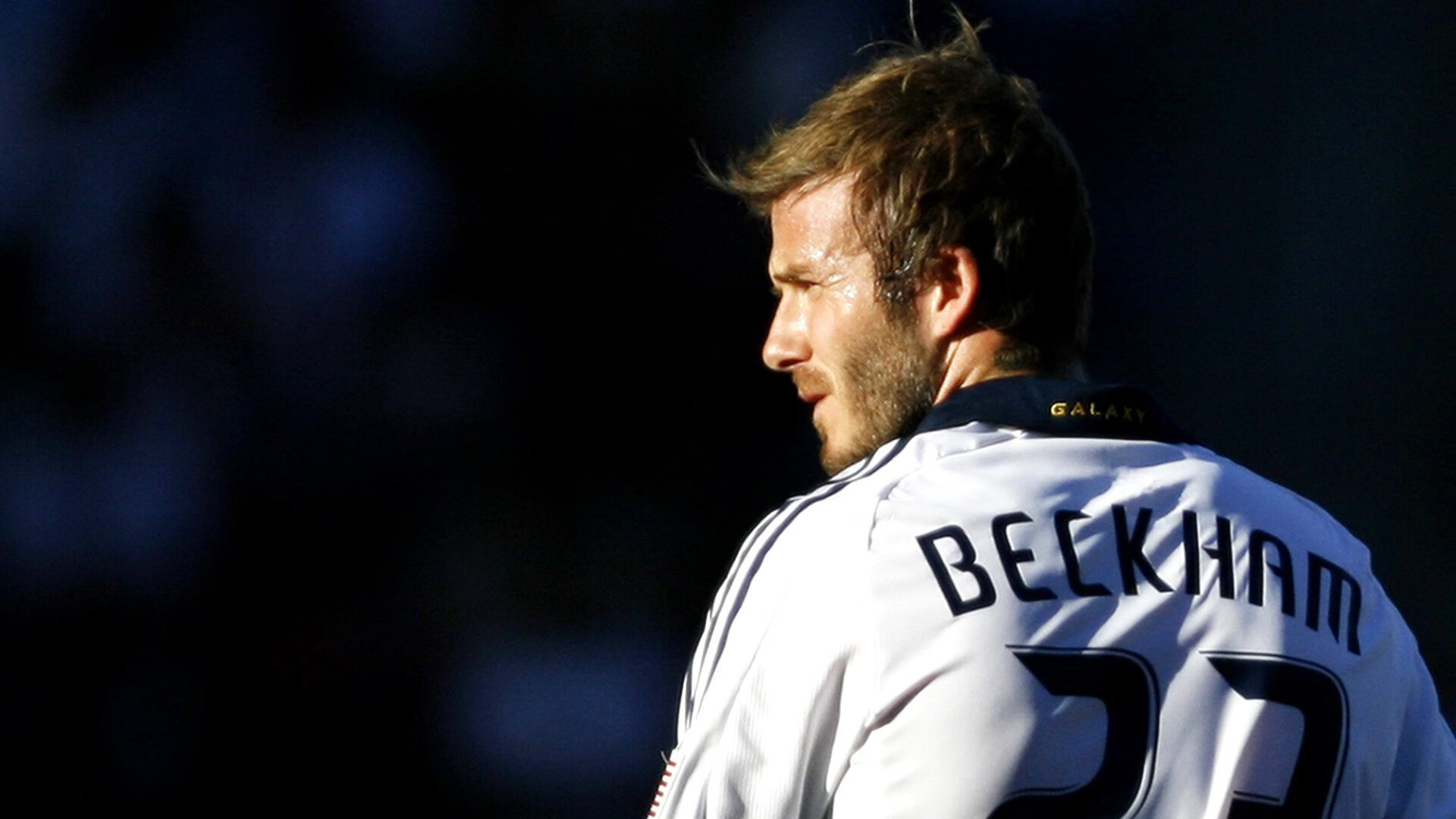 场上冲锋陷阵,场下观众欢呼,掌声雷动,冲锋陷阵上战场是什么动物