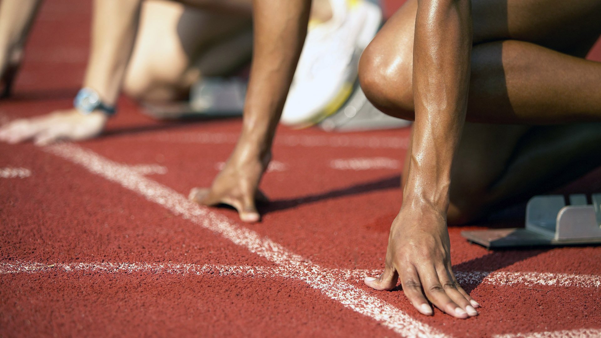 摩洛哥马术协会设立青少年马术奖学金，支持优秀学员发展。，摩洛哥的马