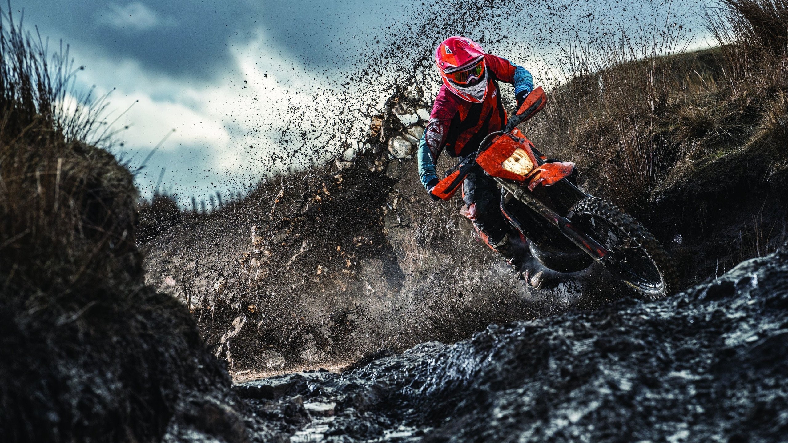 荷兰马术协会推出马术运动员职业发展规划，促进人才培养。，荷兰马术大师赛